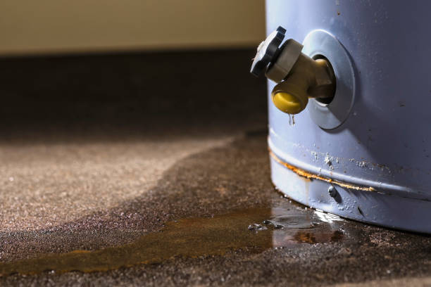 Best Carpet water damage restoration  in Farmingville, NY