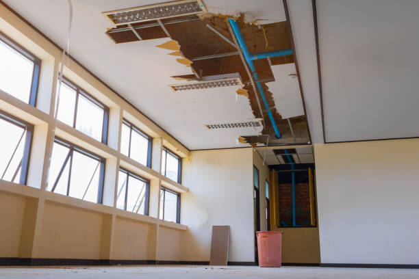 Best Water damage restoration insurance claims  in Farmingville, NY