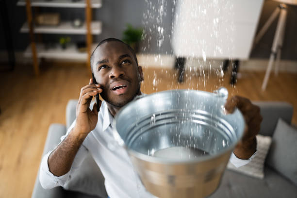 Best Local water damage restoration  in Farmingville, NY