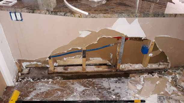 Best Water damage cleanup near me  in Farmingville, NY