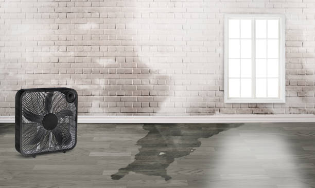 Best Flood restoration services  in Farmingville, NY