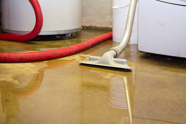 Best Water damage restoration near me  in Farmingville, NY