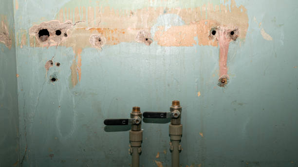 Best Basement water damage restoration  in Farmingville, NY