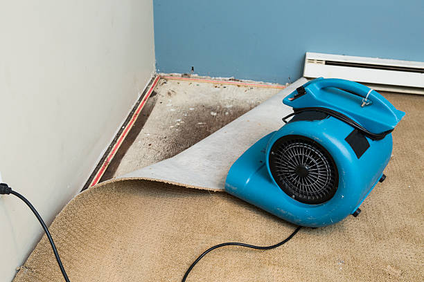 Professional Water damage restoration in NY