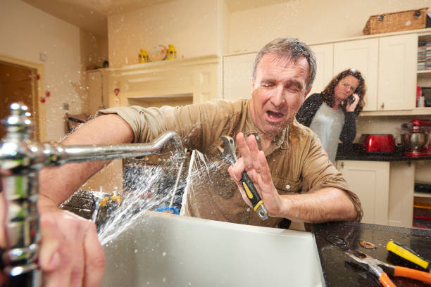 Best Mold removal after water damage  in Farmingville, NY